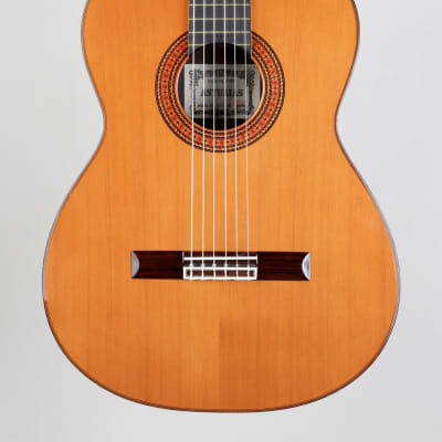 ASTURIAS Grand Solo Premio CR | Reverb Canada