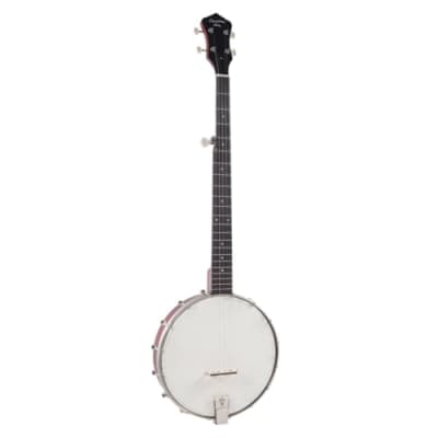 Recording King RKH-05 Dirty 30s Resonator Banjo, Satin image 1