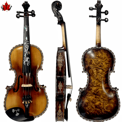 Strad style SONG master bird's eye maple wood 4/4 violin,carving ribs and neck inlay nice shell for sale