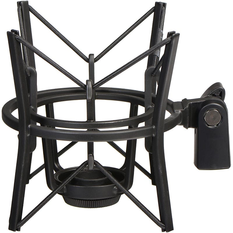AKG P420 Multi-Pattern Large Diaphragm Condenser Microphone