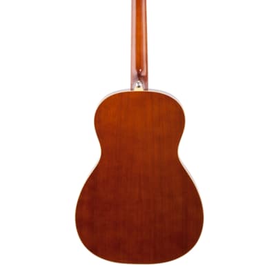 Ibanez PN15 Parlor Acoustic Guitar Brown Sunburst image 5