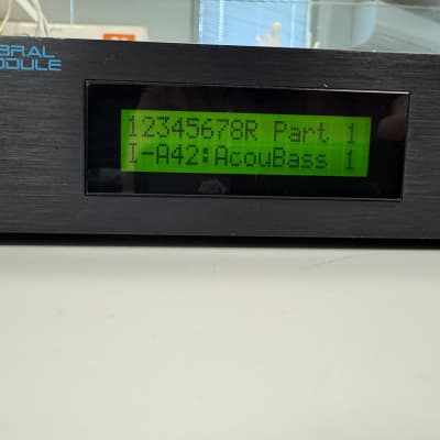 Roland D-110 Multi Timbral Sound Module 1988 - 1991 - Black