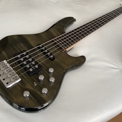 Clover Xpression 5-string (2002), Delano Pickups, incl. Softcase for sale