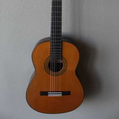 Brand New Francisco Navarro Cedar Top Concert Classical Guitar - 640 Scale image 1