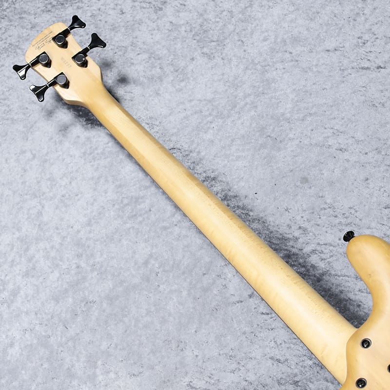 Spector ReBop 4 DLX PJ Black Stain Gloss | USA