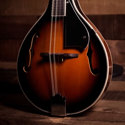 Ibanez M510BS A Style Mandolin - Brown Sunburst image 5