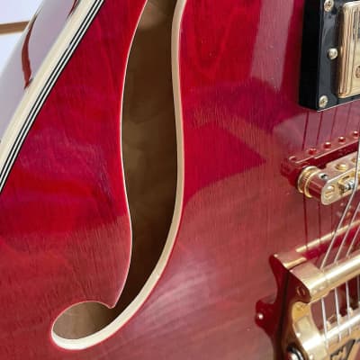 Prestige Musician Pro Semi-Hollow Guitar w/ Case Transparent Red image 8