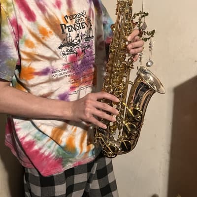 Jupiter JAS110 Eb Intermediate Alto Saxophone Silver/Gold image 11
