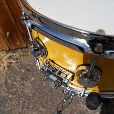 DW USA Collectors Series Light Amber Satin Oil 6.5" x 14" Pure Maple Snare Drum (2023) image 5