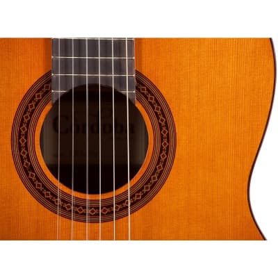 Cordoba C5 Lefty  - Left Handed Classical Guitar image 4