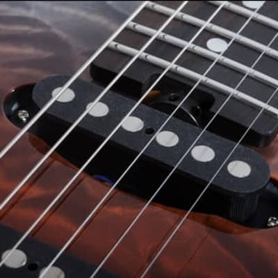 Schecter California Classic Series Electric Guitar w/ Case - Bengal Fade 7303 image 5