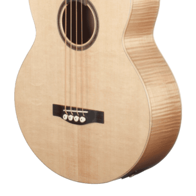 Teton STB130FMCENT Acoustic-Electric  Bass, Solid Sitka Spruce Top for sale