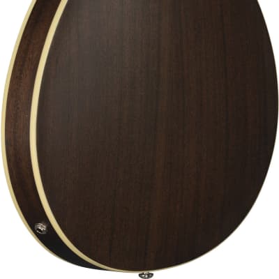 Ibanez Artcore AS53 Semi-Hollow Electric Guitar Flat Transparent Black image 3