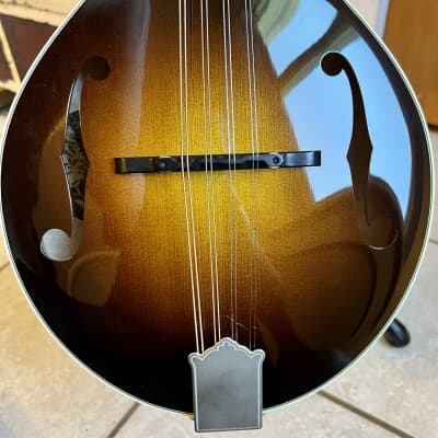 Collings MT2 Mandolin One Piece Back image 2
