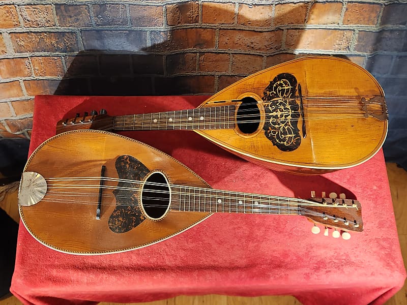 Project Bowl-Back Mandolins - Luthier Special - BRAZILIAN | Reverb