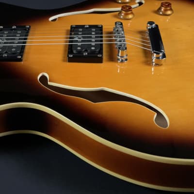2003 Oscar Schmidt Delta King OE-30/TS Semi-Hollow Body Electric Guitar image 20
