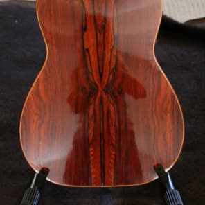 Darren Hippner 11 string Concert Classical 2011 image 6