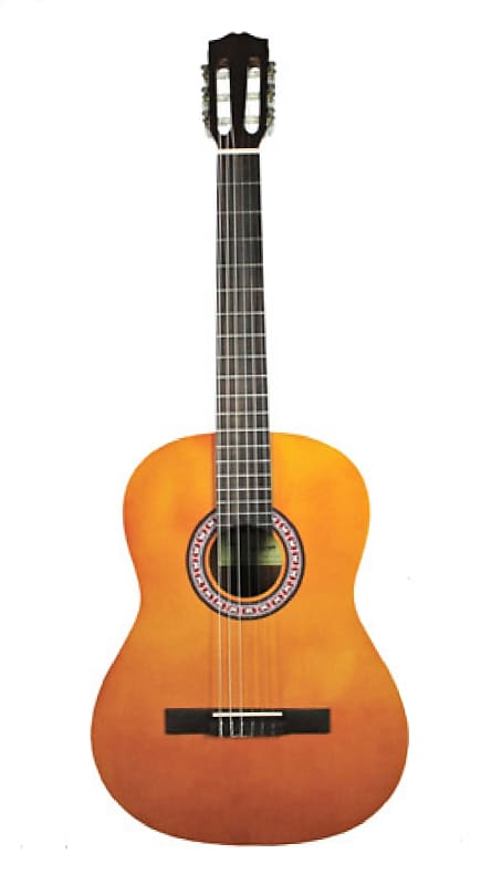 Tanara Tanara Classical Guitar TSC100NT Natural image 1