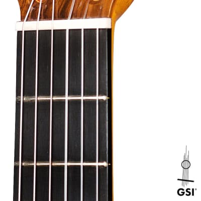 Graciliano Perez 2021 Classical Guitar Spruce/Cypress image 10