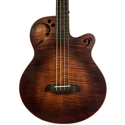 Sawtooth Rudy Sarzo Signature Fretless Acoustic-Electric Bass Guitar for sale