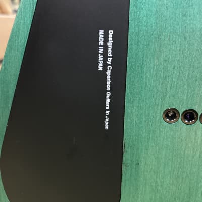 Caparison Dellinger II FX-AM guitar 2018 - 2021 - Dark Green Matt image 23
