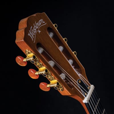 Washburn EACT42S | Festival Series Acoustic-Electric Classical Guitar. New with Full Warranty! image 15