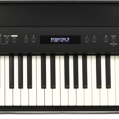 Roland FP-60X Digital Piano - Black (FP60XBKd4)