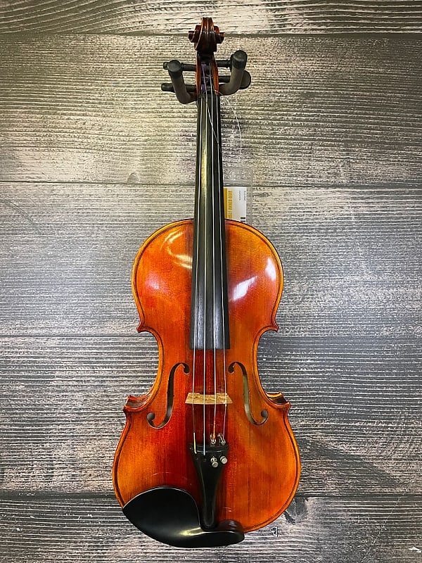 Hora V-250 Violin (Richmond, VA) | Reverb