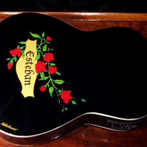Esteban 8th Anniversary Classical Acoustic Electric Opus 3