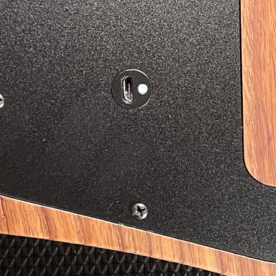 Abasi Guitars Special Edition Larada 6 Custom Flame Burst 2021 image 22