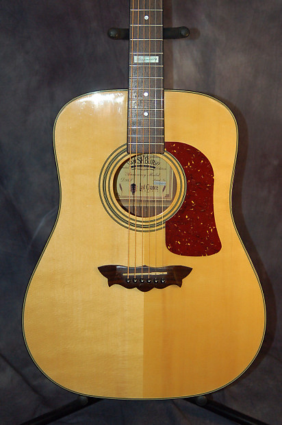 Washburn anniversary 2025 acoustic guitar