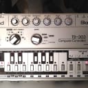 Roland TB-303 Excellent Condition, W  Roland Carrying Case , Manual & power supply