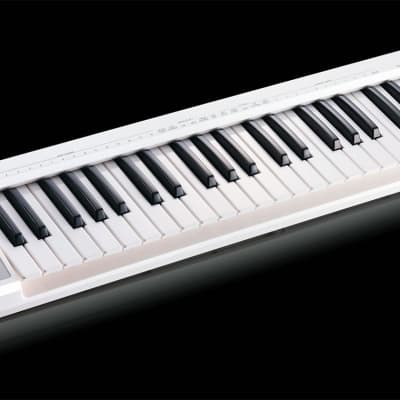 Roland A-49 MIDI Keyboard Controller | Reverb