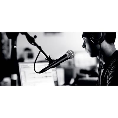 SM 58 Shure image 4