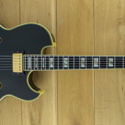 Ibanez Pat Metheny PM-100 初期 ハードケース 週末値引 Ibanez Pat Metheny PM-100 初期 ハードケース付