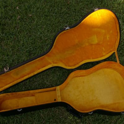 Trump Dreadnought with Vintage Case image 24