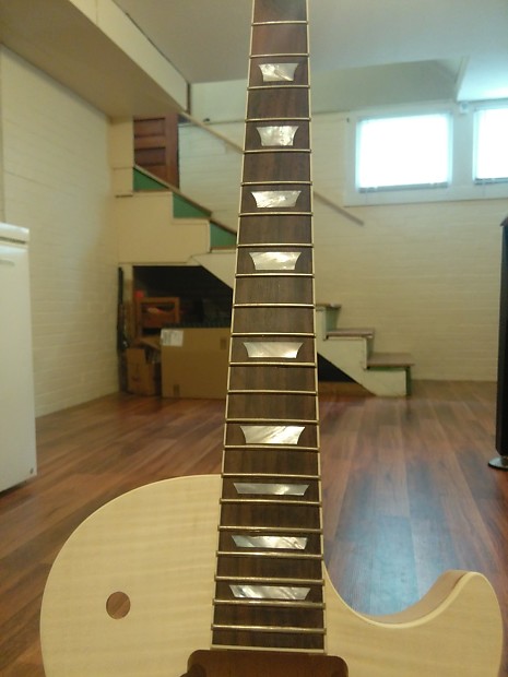 Bulldog online guitar kit
