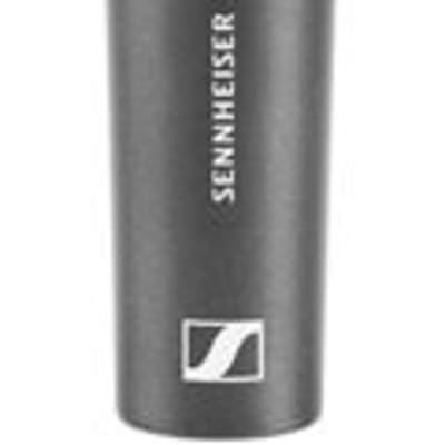 Sennheiser e865 Super-Cardioid Handheld Condenser Microphone image 1