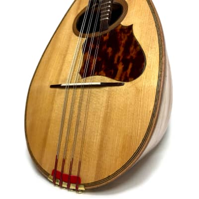 Concert Mandolin Emanuele Egildo N°299 from 1912 image 3