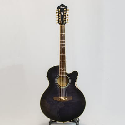 IBANEZ AEL20 acoustic guitars for sale in USA | guitar-list