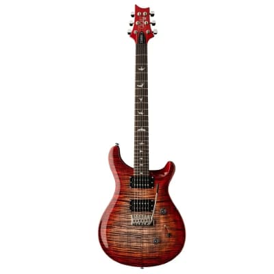 Amazon.com: PRS Paul Reed Smith 6 String SE Custom 24