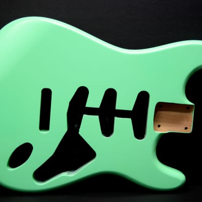 Brio S-Style Guitar Kit LTD. Choice image 15