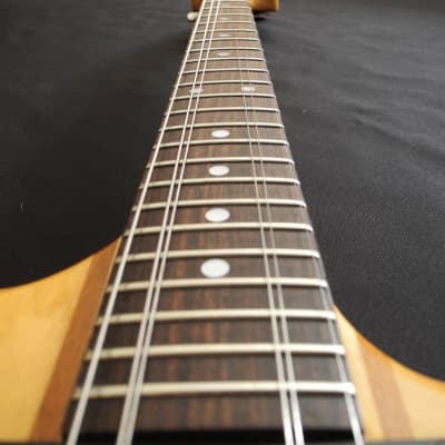 Aria Pro II TS-400 Thor-Sound MIJ 1980s Japan Electric