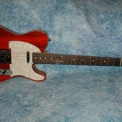 VZ Custom Guitars Trans Red Zebrawood Top T-Type w/Gig Bag image 2