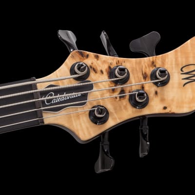 Mayones Caledonius 5 Classic - Natural | Reverb