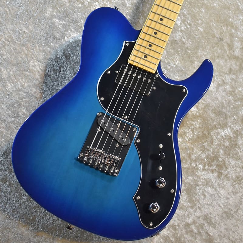 Fujigen/FGN BIL2-M-HS-TBS 2022 Transparent Blue Sunburst 3.68kg  #J220085［Made In Japan］［YK012］