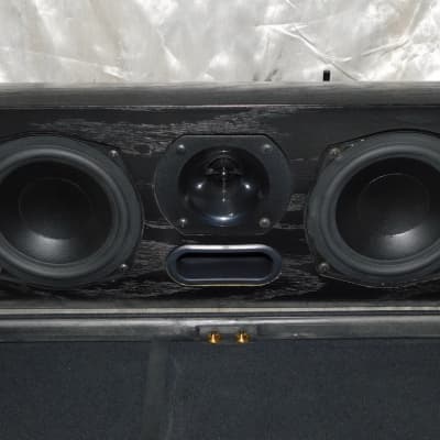 Premier Acoustic PA-6C center popular channel speaker