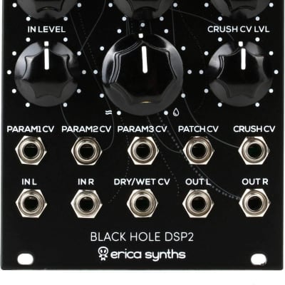 Erica Synths Black Hole DSP2— Clockface Modular