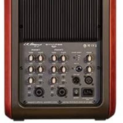 LR Baggs Synapse 500-Watt 2-Channel Personal PA System with 3-b EQ image 2