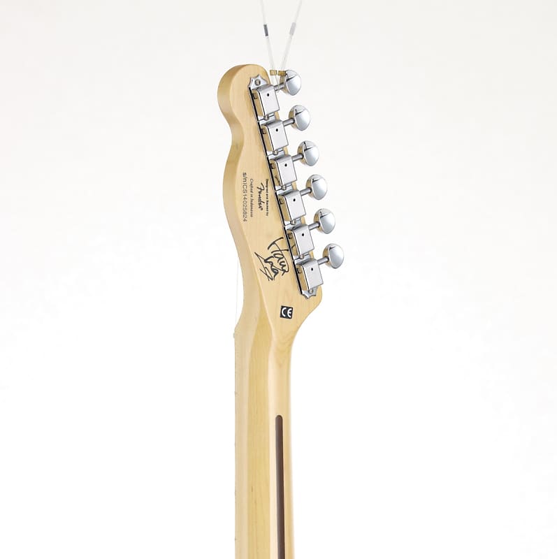 Squier by Fender HARUNA TELECASTER Skullsilver Dark Silver